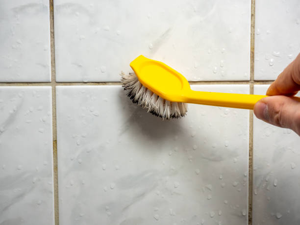 Best Black Mold Removal  in Lake Mills, WI