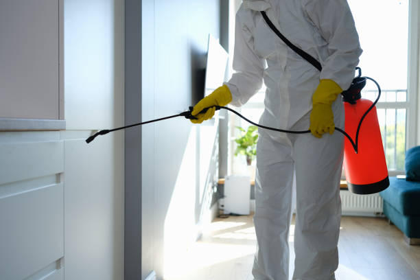 Professional Mold Removal in Lake Mills, WI