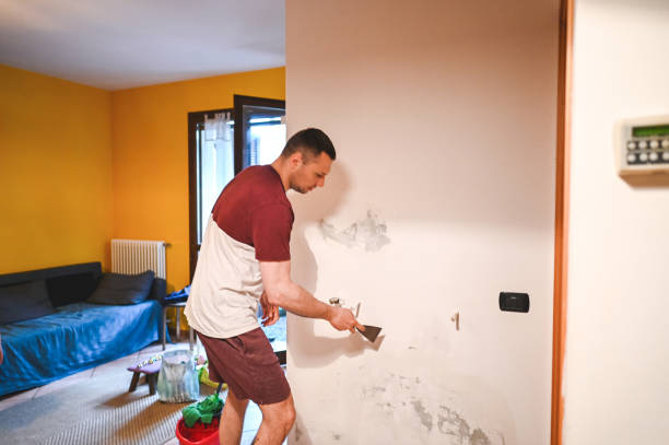 Best Fast Mold Removal  in Lake Mills, WI