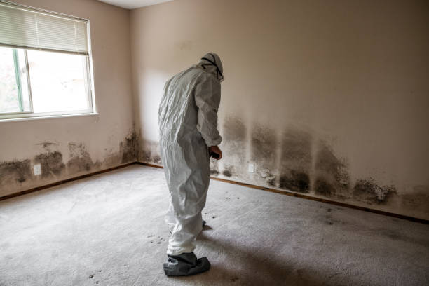 Best Mold Cleaning Services  in Lake Mills, WI