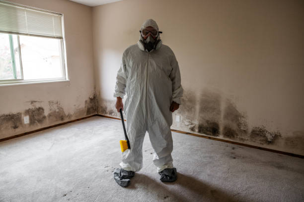 Best Residential Mold Removal  in Lake Mills, WI